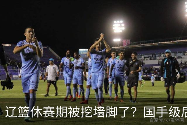 辽篮休赛期被挖墙脚了？国手级后卫恐被交易：变相逼着赵继伟走人