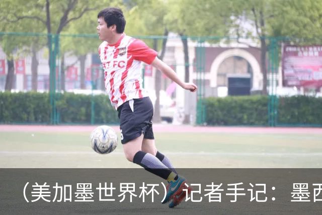 （美加墨世界杯）记者手记：墨西哥的足球，也很纯粹